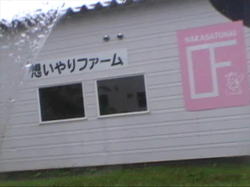 �u�v�����t�@�[���v