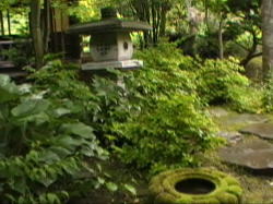 ���{���뉀