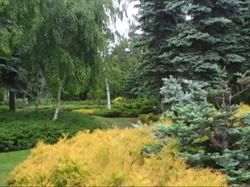 �ς�������͋C�̒�ł������B