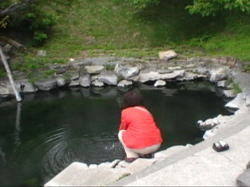 �V����������̖����I�V���C