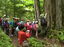 �����W���[�̐����𓐂ݕ���