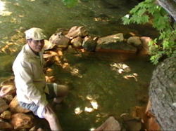 ���������ł��C��������