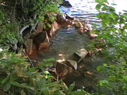 �ΔȂ̔g�ł��ۂ�΂ň͂��Ă��邾��