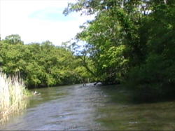 ��ʂ���̌i�F�͕s�v�c�ȃA���O�����I