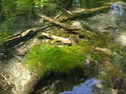 �������N���Ă���Ƃ���B���̑��݂�Y���قǂɓ���