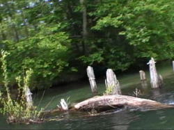 �N�X��̗�����ς��̂ŗ����؂����̒��ɁE�E�E