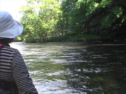 �Î�̒��J�k�[�͗���Ă����E�E