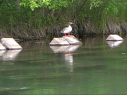 ��������R������