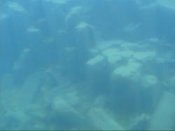 �����̒���ߗ�