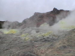 �����̕��C��������