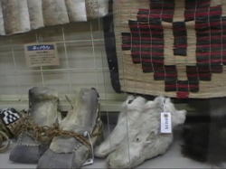 �A�C�k�̌C�i���̔�ƃA�U���V�̔�j