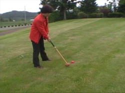 ���߂Ẵp�[�N�S���t