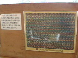 �RD�̃|�X�^�[