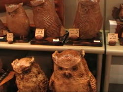 �ӂ��낤�̒��蕨