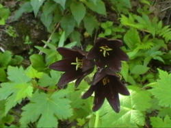 �N������