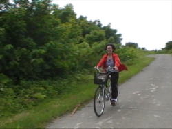 �����C�����ǂ��I