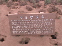 ���̓E�g�E�̑���