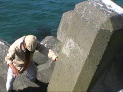 ���������I����ԁE�E