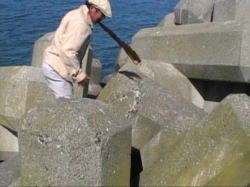 ���킦�ĉ^�ԕs�ǂ��₶