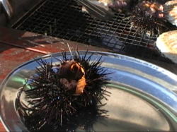 �����E�j