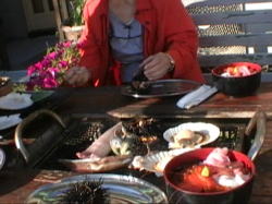 �C�N���ƊC�N�o�[�x�L���[�B�ō��I