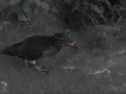 �Â��Ȃ��ċA���Ă���E�g�E����