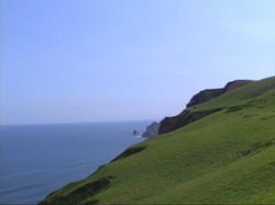 �C�^���L�l�E�E�E�΂̍���������