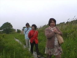 �E�g�i�C�΂ɂ�