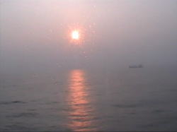 �D�ォ��̗[��