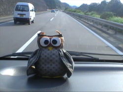 ��������̉�����͍�̂ӂ��낤�E�E�E�����ԂŌ�����āI