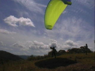 �z�A���̃e�C�N�I�t