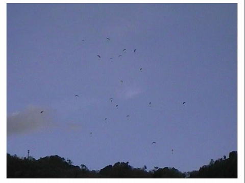 �v�X�̐_�̑q�K�O���B�w�ǂ̐l���I�ł��E�E�E�E