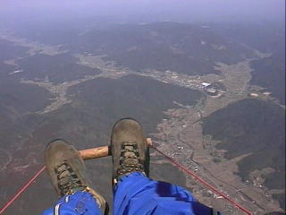 �V���N�т̒��A�������ʂ�