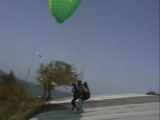 ������񉜂���Ə��^���f��