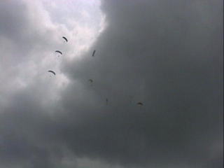 �����Ԃ����撣��J���[�K�[�B