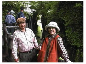 ����䋬�o�b�N��