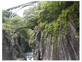 ����䋬�i�₪�S�Ē���ߗ��ɂȂ��Ă���j