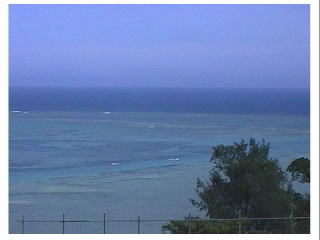 ����������̂��A�������̗{�B��