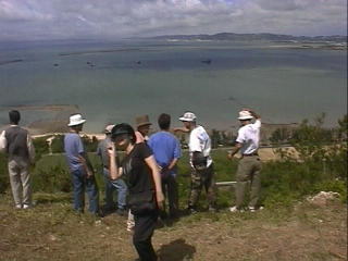 �C�����ꂢ�I���������A���`