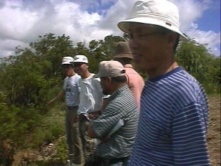 �ł���������