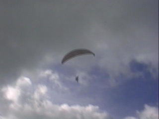 ����ł��������Ĕ��ł�����