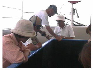 �O���X�{�[�g�ɂ�