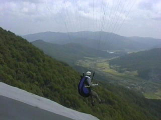 �ŋߒ��N�p���[�y��̐Έ䂳��