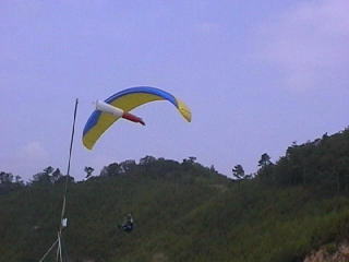 ���e����̃u�[�������Q