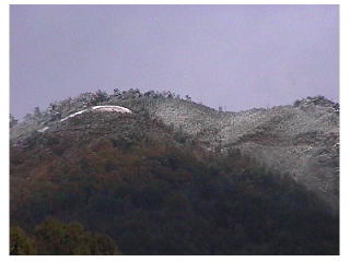 �r�J�R�̏�����