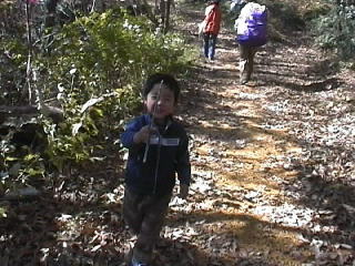 �ڂ����R�ɓo���