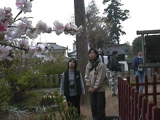 �ˉ_���̉ԁH�O��