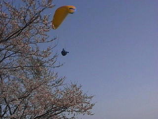 �ォ��Ԍ��Ɵ�������