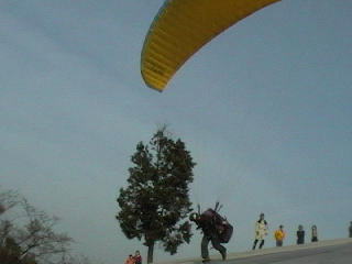 �k�e�C�N�I�t����