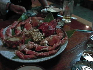 ����̃��V�K�j�ꖜ�ܐ�~�Ȃ�